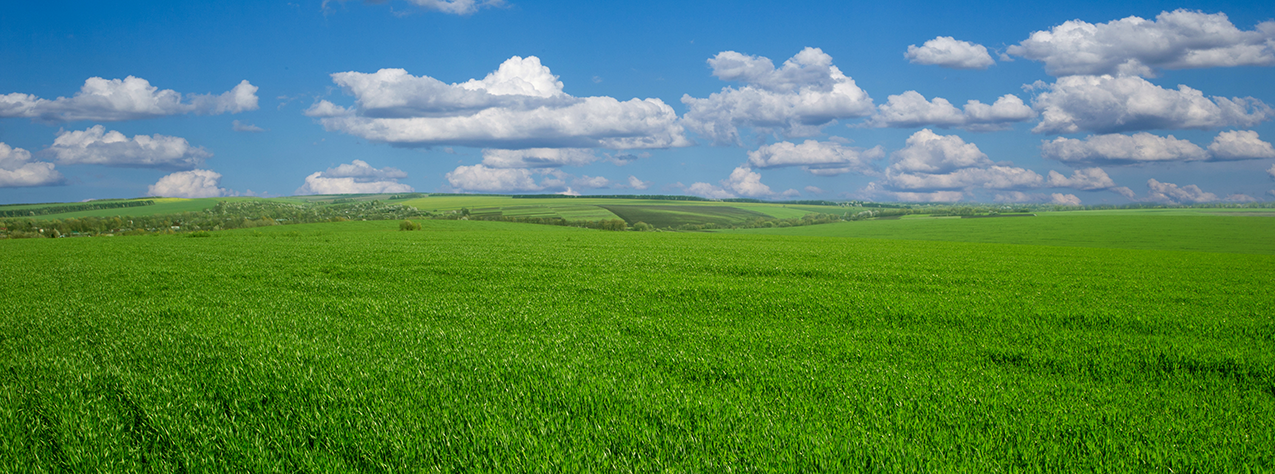 CTL Begins Carbon Neutral Shipping Program